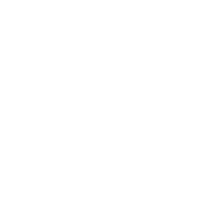 single core icon